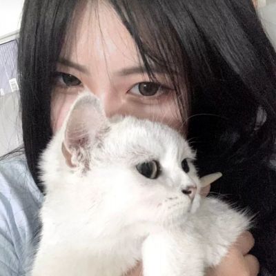 乐鱼体育app官方网站下载截图