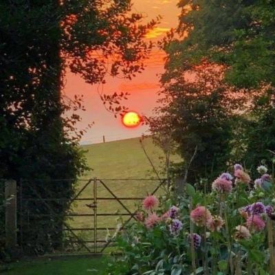 爱游戏·综合APP