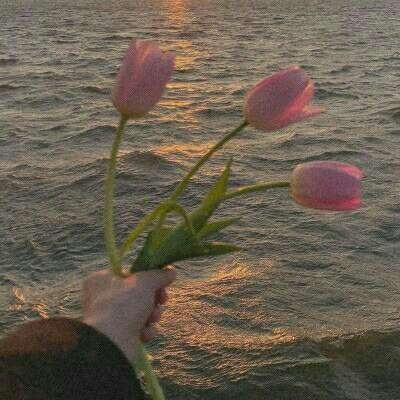 ayx在线登录入口手机app下载