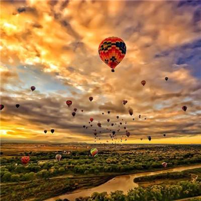 乐鱼体育app官方网站下载