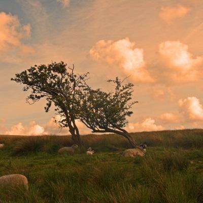 快彩乐首页手机app下载