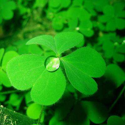 环球体育登录平台截图